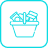 Ícone da Categoria